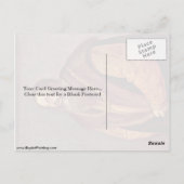 Portret van Pietro Aretino. Door Titiaan Briefkaart (Achterkant)