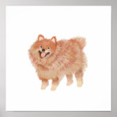 Portret van Pommeren Poster (Voorkant)