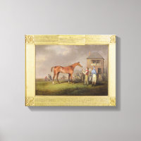 Portret van "Quiz", eigendom van Lord Rous, achter