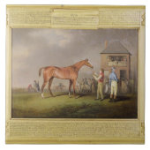 Portret van "Quiz", eigendom van Lord Rous, achter Tegeltje (Voorkant)