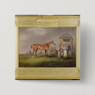 Portret van "Quiz", eigendom van Lord Rous, achter Vierkante Button 5,1 Cm