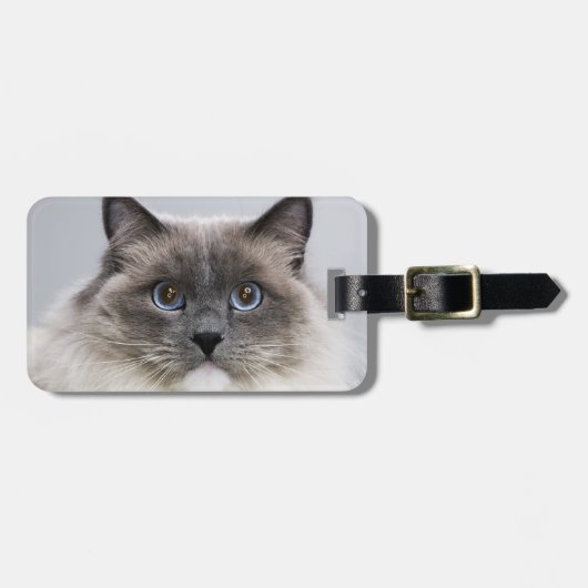 Portret van Ragdoll Cat Bagagelabel (Voorkant horizontaal)