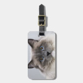 Portret van Ragdoll Cat Bagagelabel (Voorkant verticaal)