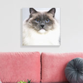 Portret van Ragdoll-kat Canvas Afdruk (Insitu (Woonkamer))