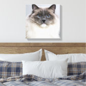Portret van Ragdoll-kat Canvas Afdruk (Insitu (Slaapkamer))