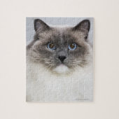 Portret van Ragdoll-kat Legpuzzel (Verticaal)