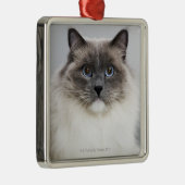 Portret van Ragdoll-kat Metalen Ornament (Rechts)