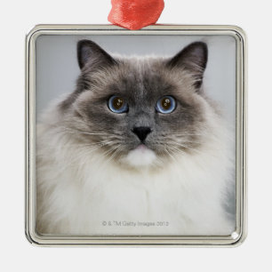 Portret van Ragdoll-kat Metalen Ornament