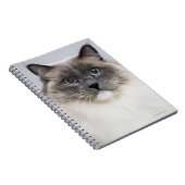 Portret van Ragdoll-kat Notitieboek (Rechterzijde)