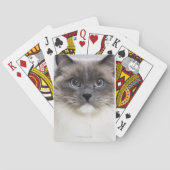 Portret van Ragdoll-kat Speelkaarten (Achterkant)