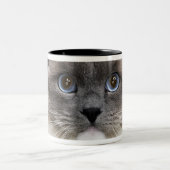 Portret van Ragdoll-kat Tweekleurige Koffiemok (Center)