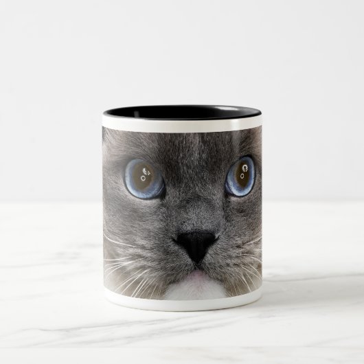 Portret van Ragdoll-kat Tweekleurige Koffiemok (Center)