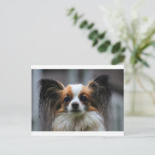 Portret van rashond Papillon Briefkaart (Staand voorkant)