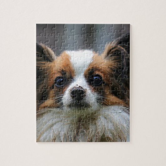 Portret van rashond Papillon Legpuzzel (Verticaal)