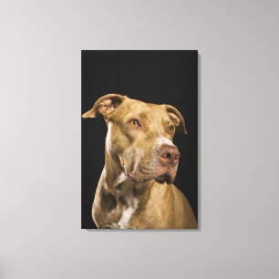 Portret van rode neusbol met zwart canvas afdruk