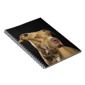 Portret van rode neusbol met zwart notitieboek (Rechterzijde)