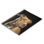 Portret van rode neusbol met zwart notitieboek (Linkerzijde)