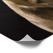 Portret van rode neusbol met zwart poster (Hoek)