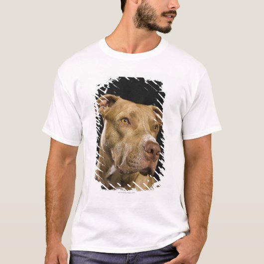 Portret van rode neusbol met zwart t-shirt (Voorkant)