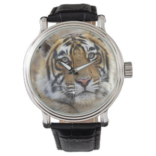 Portret van Royal Bengal Tiger, Ranthambhor Horloge