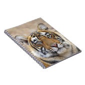 Portret van Royal Bengal Tiger, Ranthambhor Notitieboek (Rechterzijde)