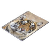 Portret van Royal Bengal Tiger, Ranthambhor Notitieboek (Linkerzijde)