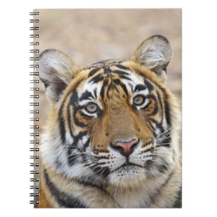 Portret van Royal Bengal Tiger, Ranthambhor Notitieboek