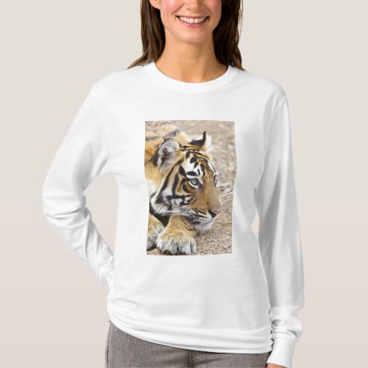 Portret van Royal Bengal Tiger, Ranthambhor T-shirt (Voorkant)