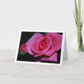 Portret van roze roos bloem kaart (Voorkant)