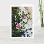 Portret van Roze Rozen Kaart (Voorkant)