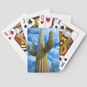 Portret van Saguarocactus, Arizona Pokerkaarten