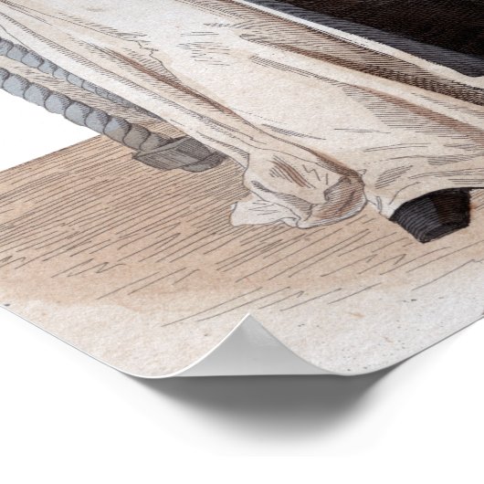 Portret van Saint Bernard de Clairvaux Poster (Hoek)