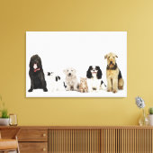 Portret van samen zittende katten en honden canvas afdruk (Insitu (Woonkamer))