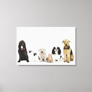 Portret van samen zittende katten en honden canvas afdruk