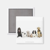 Portret van samen zittende katten en honden magneet (Voorkant / Achterkant)