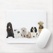 Portret van samen zittende katten en honden muismat (Met muis)