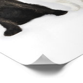 Portret van samen zittende katten en honden poster (Hoek)