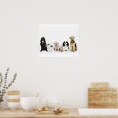 Portret van samen zittende katten en honden poster (Keuken)