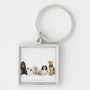 Portret van samen zittende katten en honden sleutelhanger