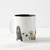 Portret van samen zittende katten en honden tweekleurige koffiemok (Voorkant links)