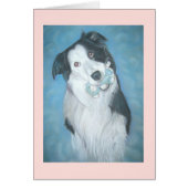 Portret van schattige Border Collie Dog met Teddy (Voorkant)