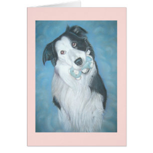 Portret van schattige Border Collie Dog met Teddy