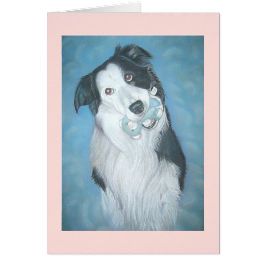 Portret van schattige Border Collie Dog met Teddy (Voorkant)