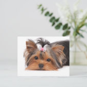 Portret van schattige puppy briefkaart (Staand voorkant)