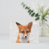 Portret van schattige wilde vos met mooie ogen briefkaart (Staand voorkant)