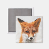 Portret van schattige wilde vos met mooie ogen magneet (Voorkant / Achterkant)