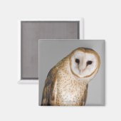 Portret van schurenuil (Tyto alba). Magneet (Voorkant / Achterkant)