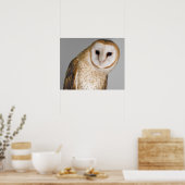 Portret van schurenuil (Tyto alba). Poster (Keuken)