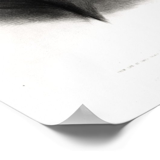 Portret van Sir Robert Peel Poster (Hoek)