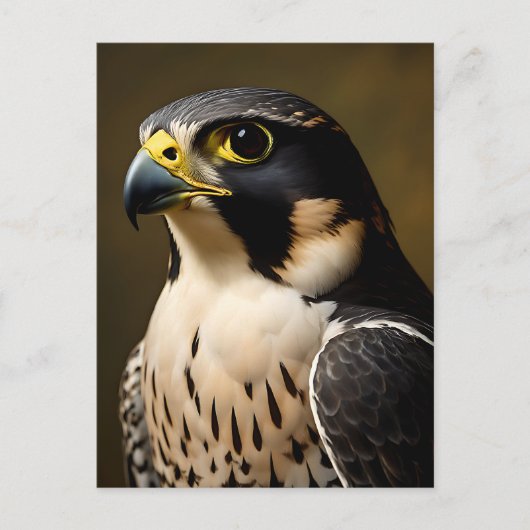 Portret van Slechtvalk Briefkaart (Voorkant)